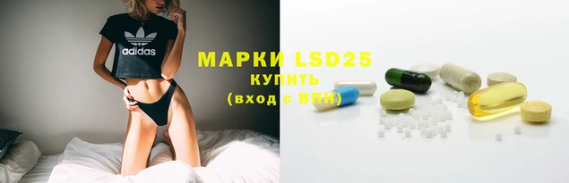 стафф Нефтегорск